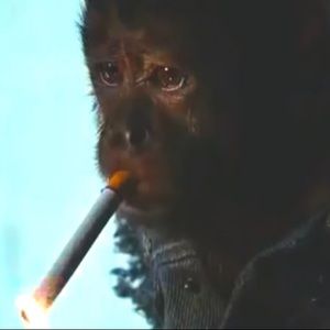 Meet your Posher, Edward